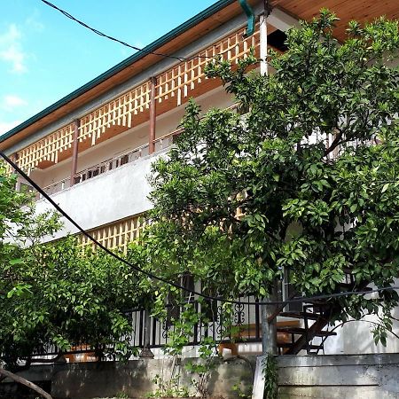 Inzhir Guest House New Athos Zewnętrze zdjęcie