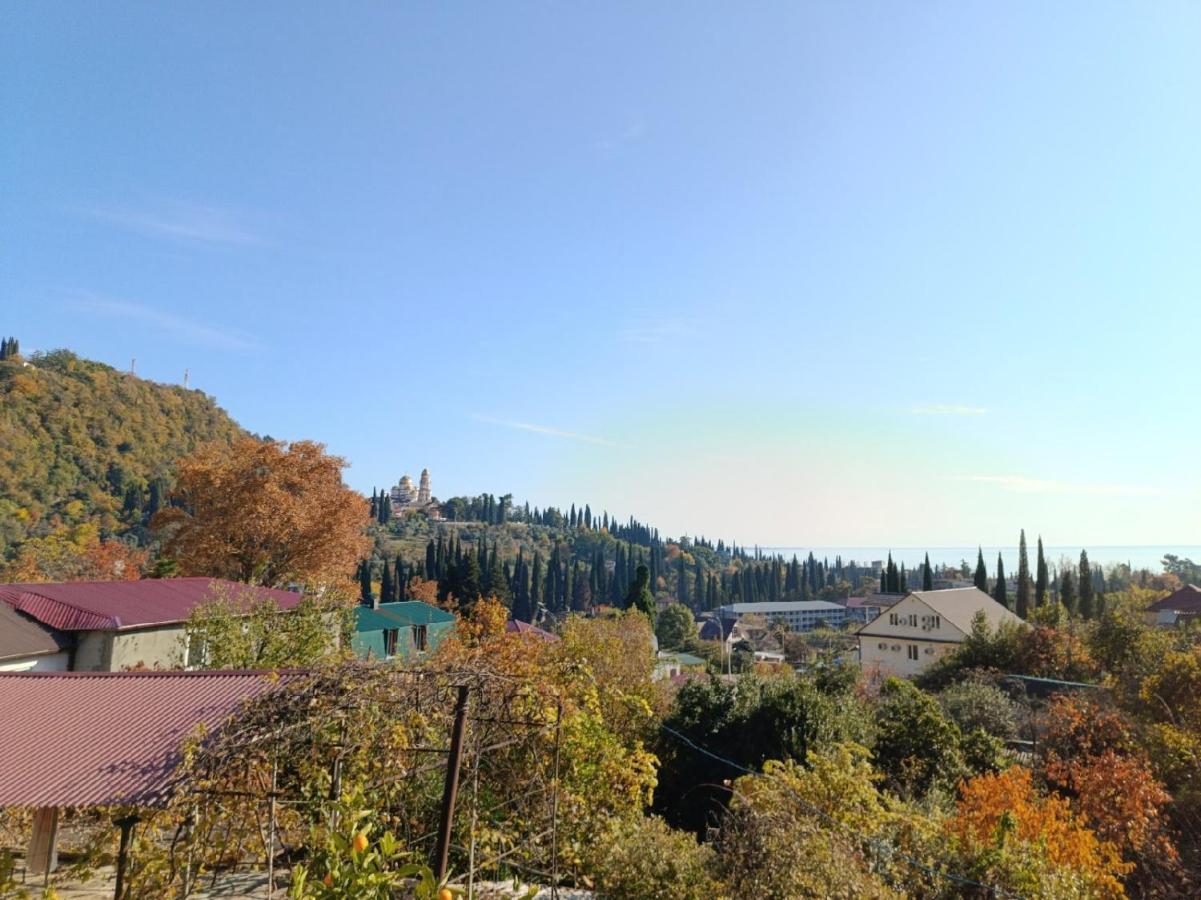 Inzhir Guest House New Athos Zewnętrze zdjęcie