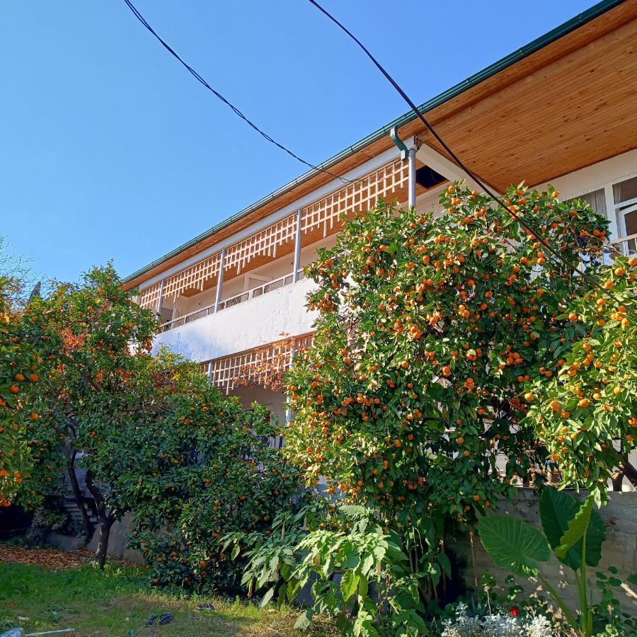 Inzhir Guest House New Athos Zewnętrze zdjęcie