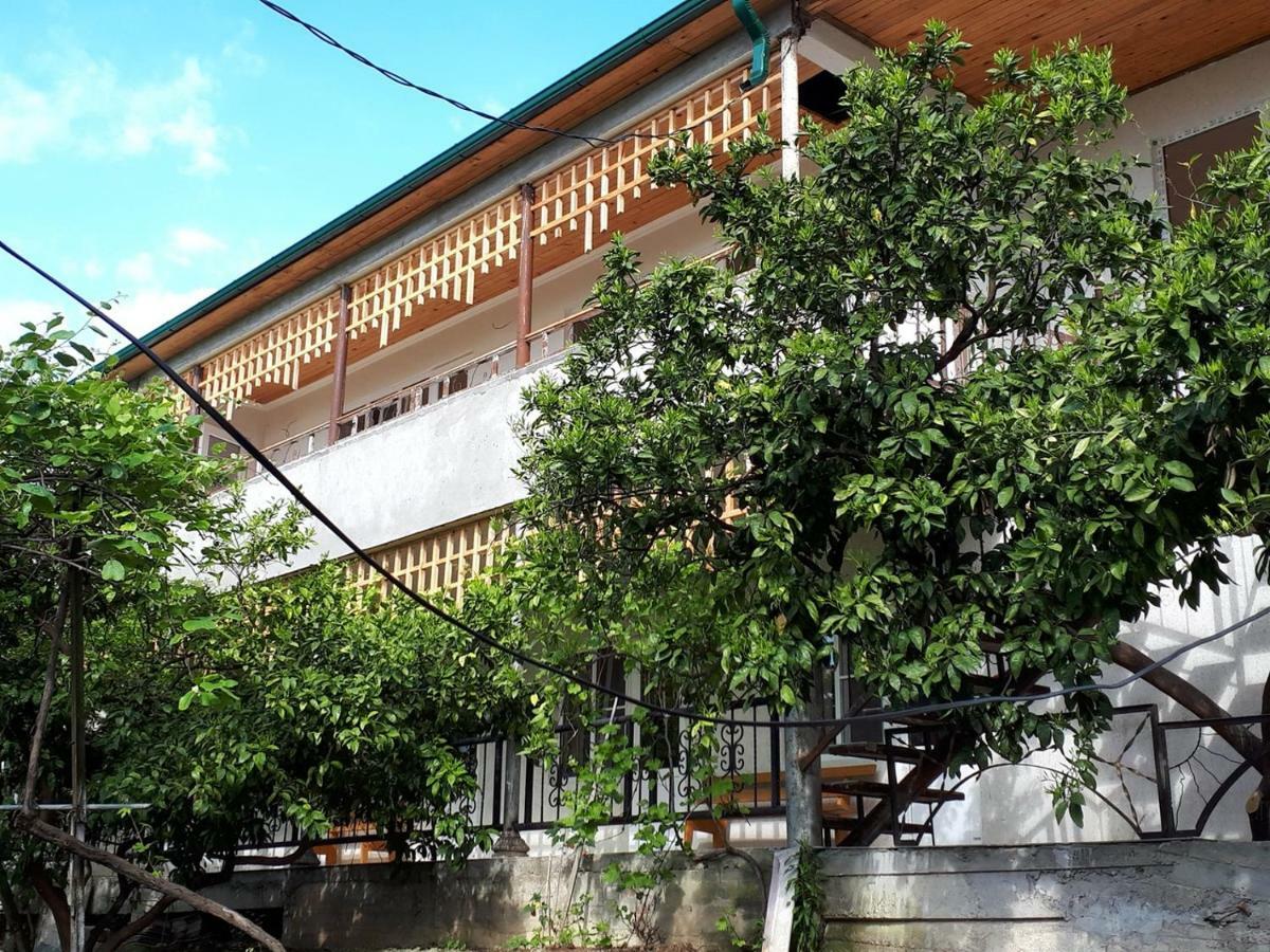 Inzhir Guest House New Athos Zewnętrze zdjęcie